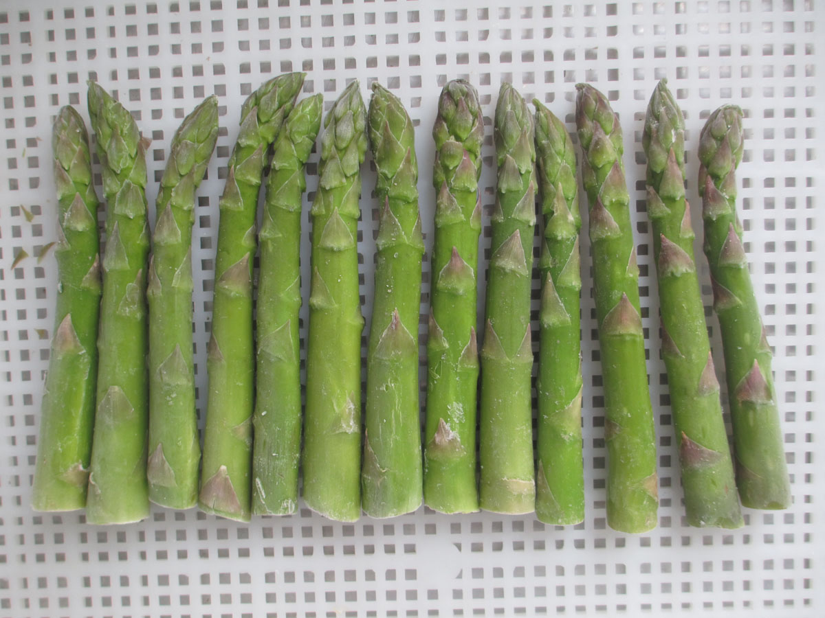 Frozen Asparagus